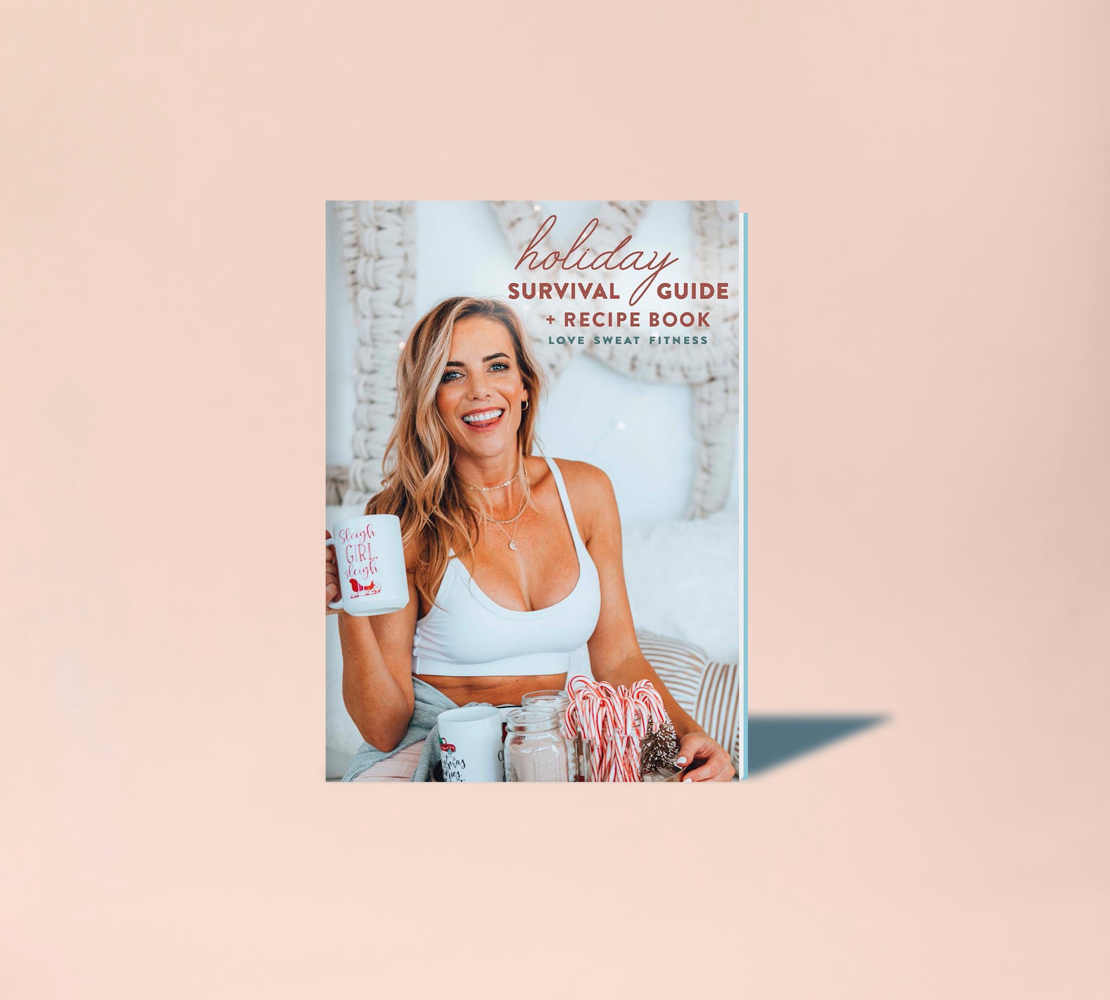 Cover of the 'Holiday Survival Guide & Recipe Book' featuring a smiling woman holding a mug