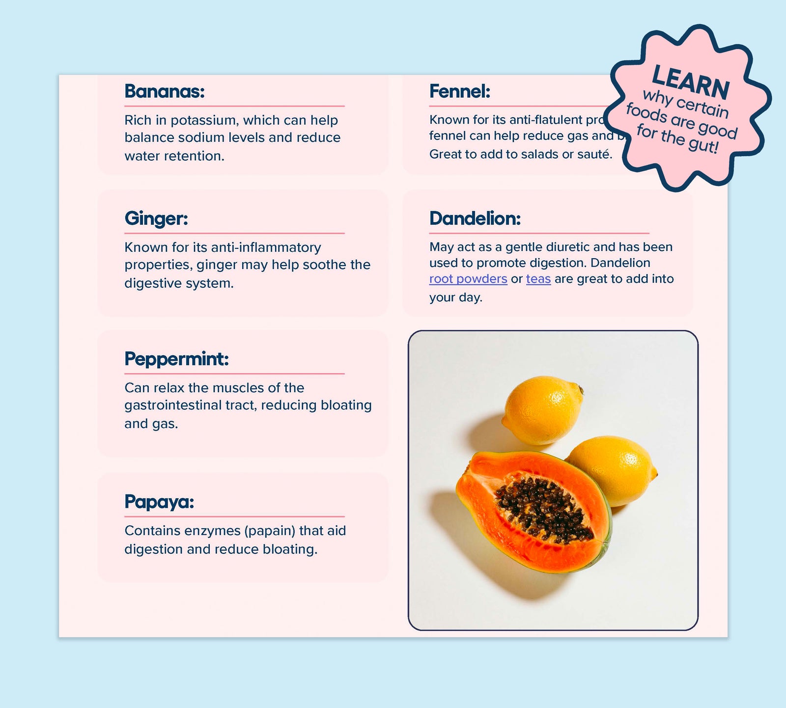 Feel Good Gut Guide - Sample day of foods