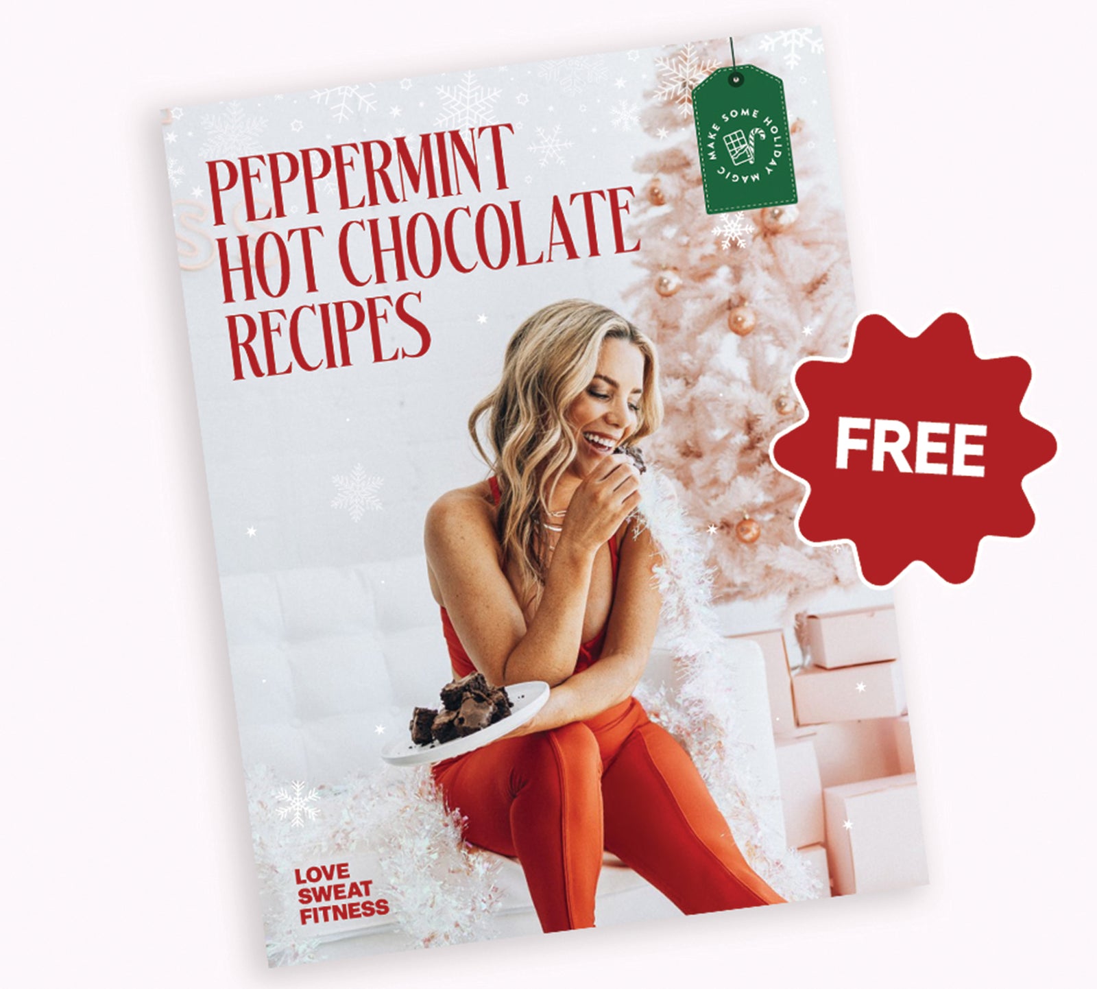 Peppermint Hot Chocolate Plant Protein